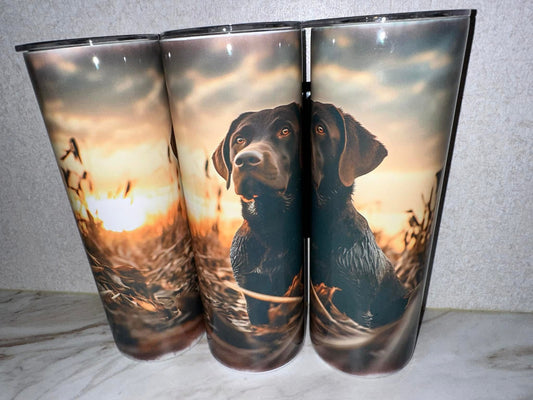 Chocolate Lab